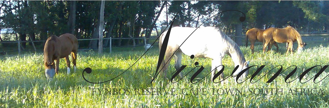 Nirvana Fynbos Reserve