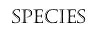 Species