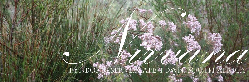 Nirvana Fynbos Reserve